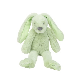 9DF3058C_134422-Tiny-Pistachio-Recycled-Rabbit-Richie.jpg