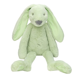 F873851A_134423-Big-Pistachio-Recycled-Rabbit-Richie.jpg
