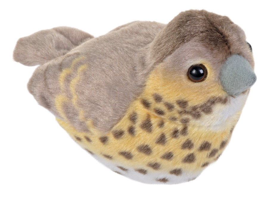 Plüsch Singdrossel singend RSPB Birds 18 cm mit echten Vogelstimmen