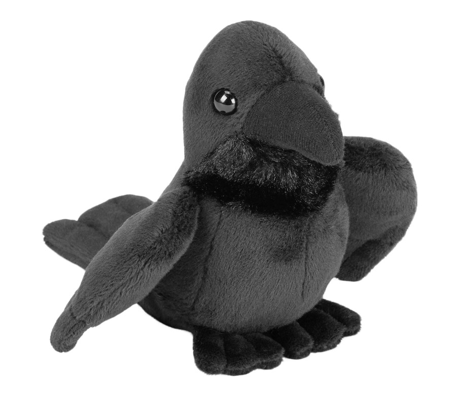 Plüsch Rabe Pocketkins 13 cm
