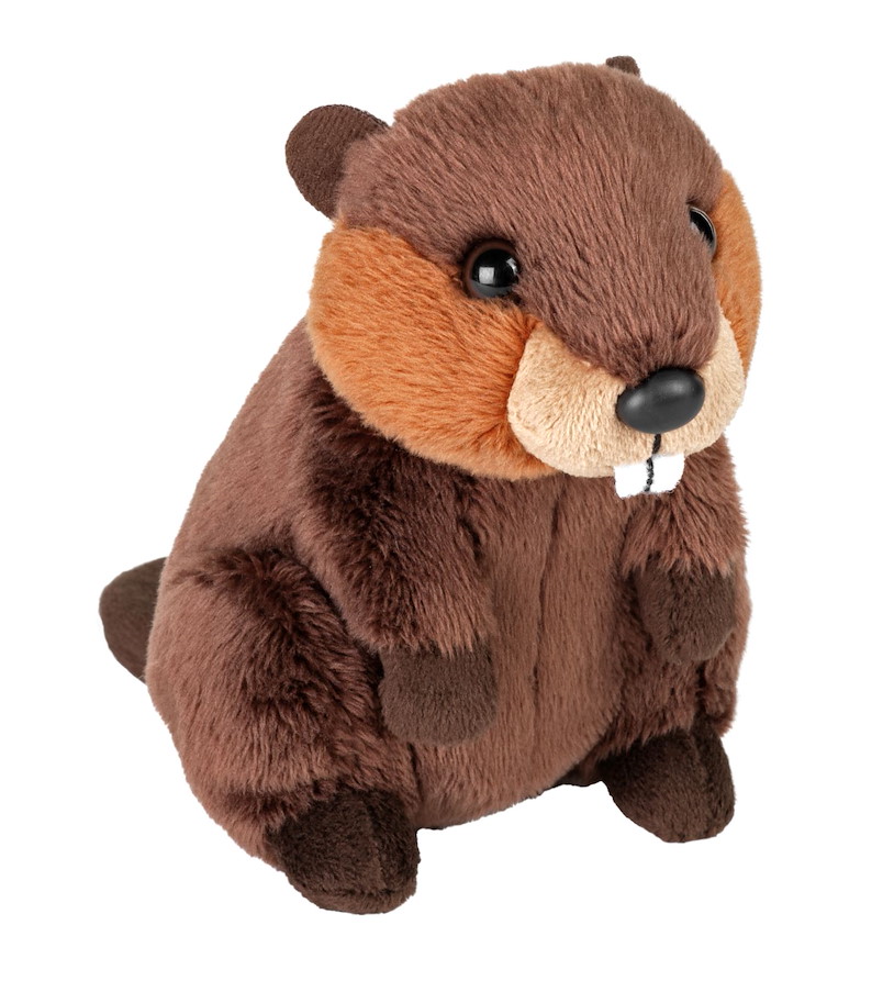 Plüsch Biber Pocketkins 13 cm