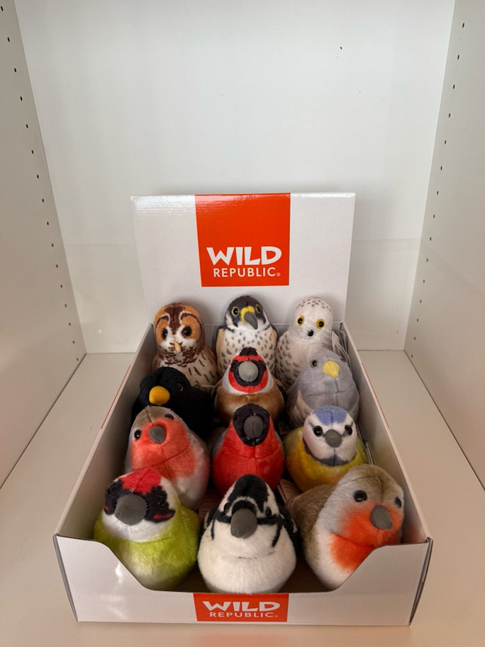 Display für 12 Vögel mit Stimme