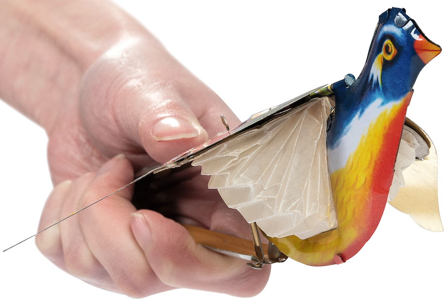 Singender Spatz
