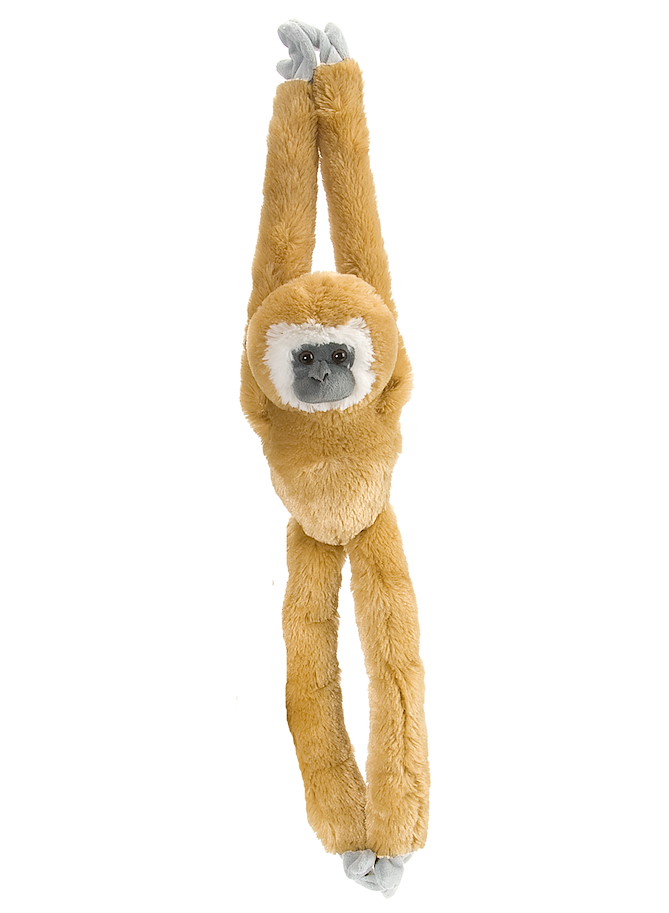 Plüsch hängendes Weisshand-Gibbon-Äffchen