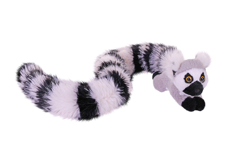 Tailkins Roter Lemur