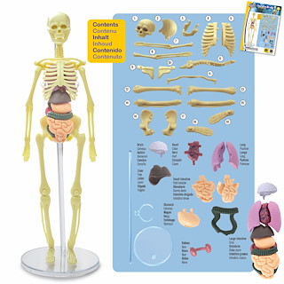 38A7A2A7_E2104-BAB-contents-CMYK.jpg