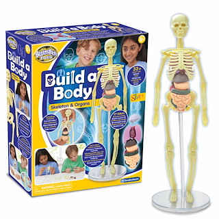 AF4B97C0_E2104-Build-a-Body-Pack-and-product-shot-CMYK.jpg