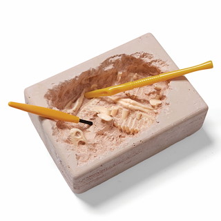 5FA6F055_N5204-NHM-T.-rex-Exc-Kit-block-part-dug-tools-CMYK.jpg