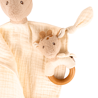 1487DD79_120819_4-Photoroom.png