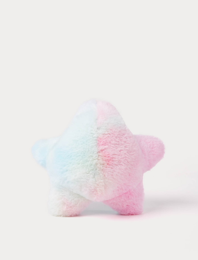 Seestern regenbogenfarbig 22  cm