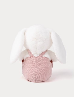 527715B5_4317-bunny-with-suspenders-4.jpg