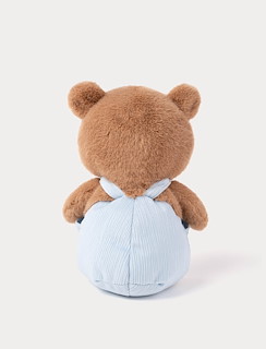 7523C996_4318-teddy-bear-with-suspenders-4.jpg