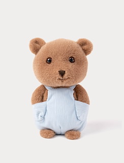 D64EDC14_4318-teddy-bear-with-suspenders-2.jpg