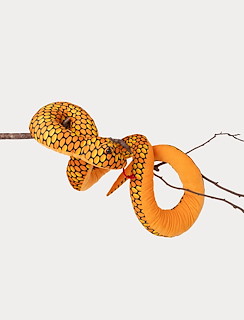 7435CCFE_4320-snake-orange-2.jpg