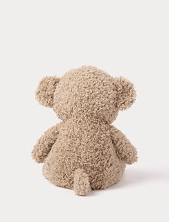 22F73DFF_4338-retro-pals-teddy-bear-big-3.jpg