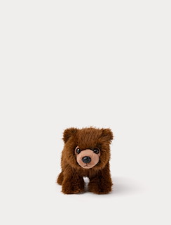 8C1F5BD0_4383-teddy-forest-bear-1.jpg
