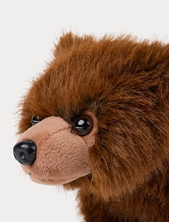 B234FDAC_4383-teddy-forest-bear-4.jpg
