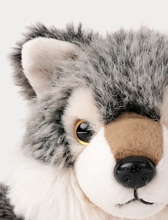 B3CAE9FA_4384-teddy-forest-wolf-4.jpg
