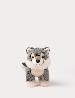C19874A6_4384-teddy-forest-wolf-1.jpg