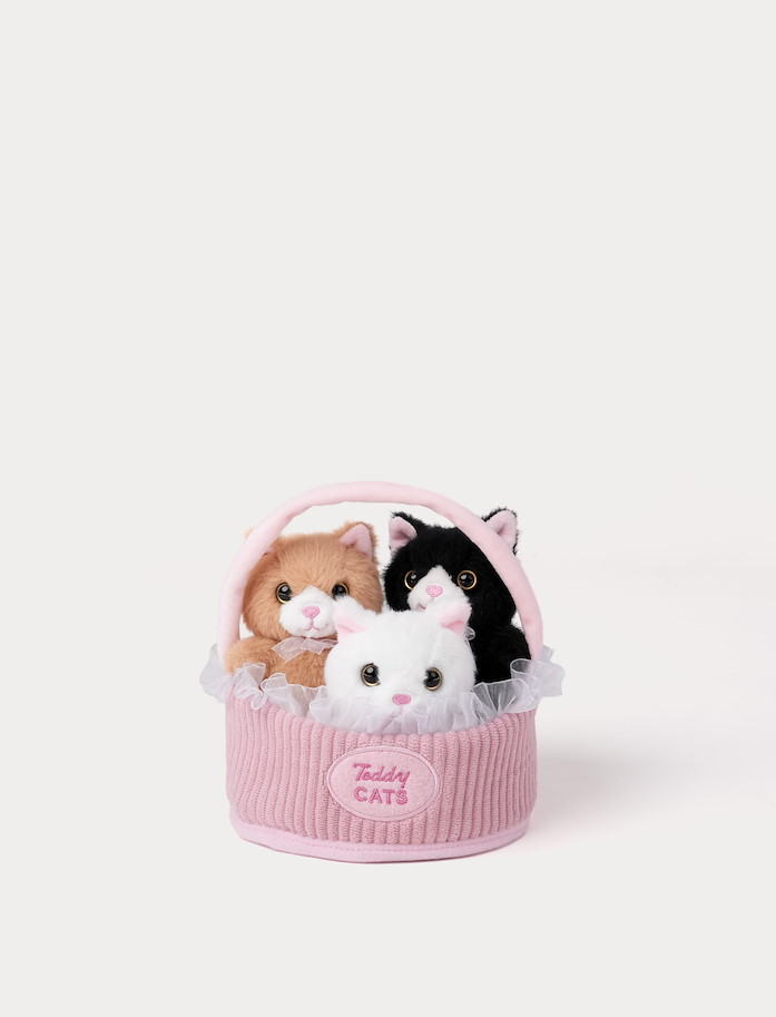 Teddy Cats Geschenkskorb mit 3 Kätzchen
