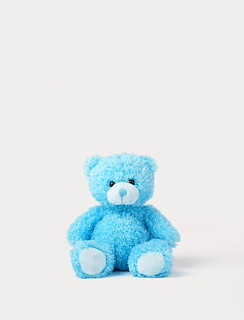 48CF1A0F_4393-color-cubs-teddy-blue-1.jpg