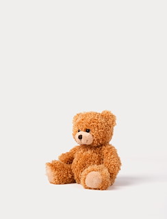7FFCFF56_4400-color-cubs-teddy-brown-2.jpg