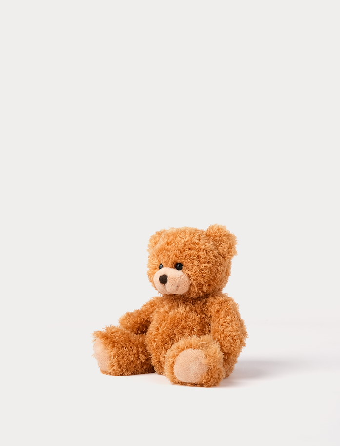Color Cubs Teddy braun 20  cm