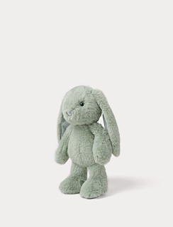 D032BD26_4402-blooming-bunny-ivy-2.jpg