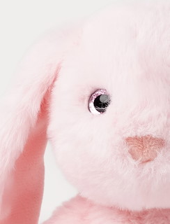 7A6E3598_4405-blooming-bunny-rosie-4.jpg