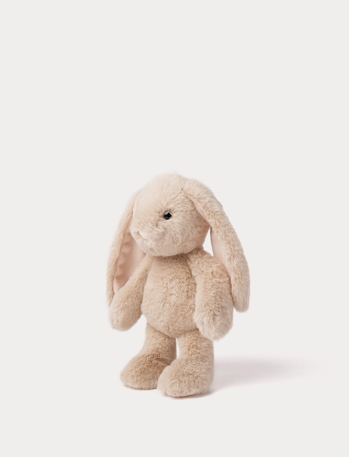 Hase Hortensia 25  cm