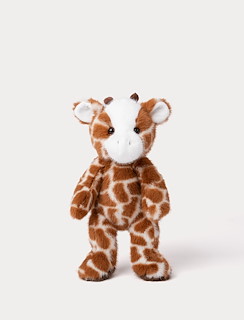 E41DA28C_4432-teddy-wild-giraffe-1.jpg
