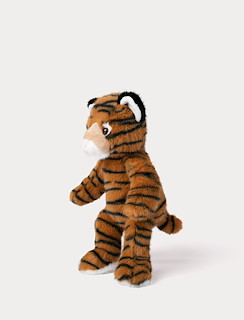 6CA17289_4433-teddy-wild-tiger-2.jpg