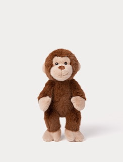 D2CC4AB6_4434-teddy-wild-monkey-1.jpg