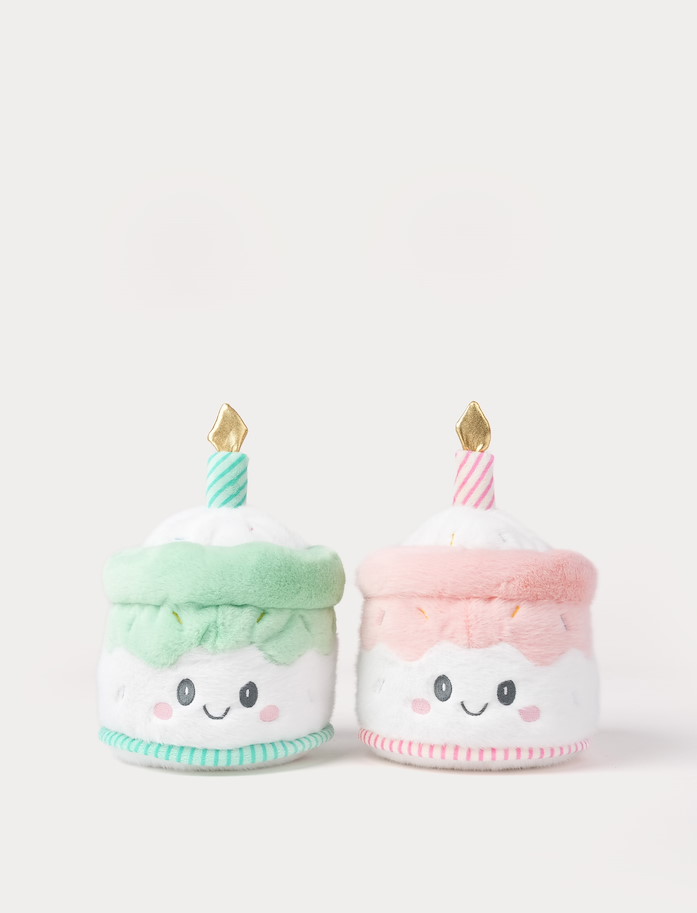 Teddy Party Kuchen grün 25  cm