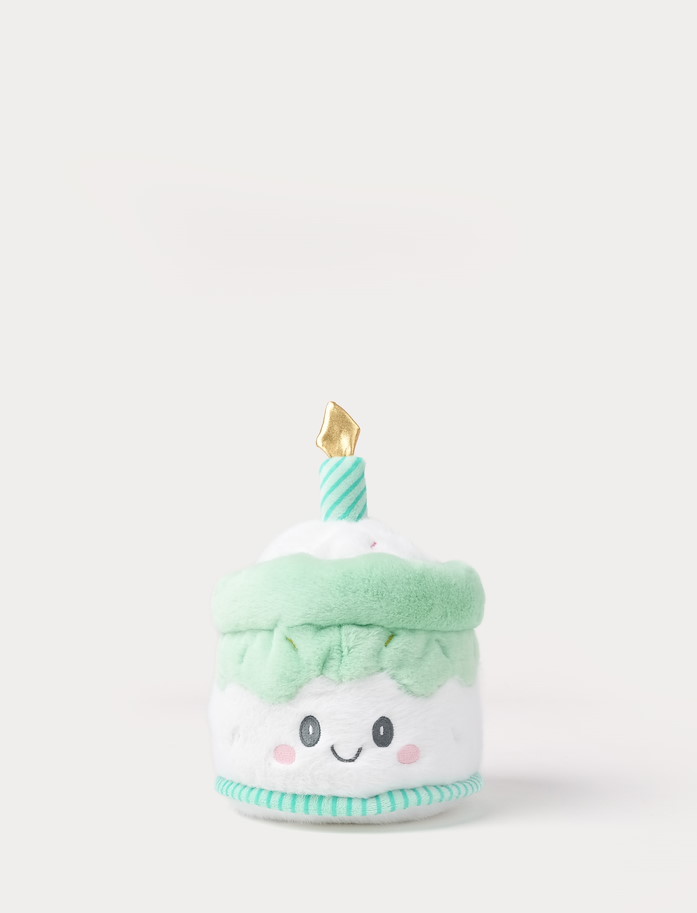 Teddy Party Kuchen grün 25  cm