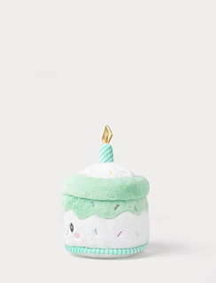 94F840D0_4436-teddy-party-cake-green-2.jpg