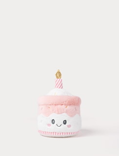 D463D4E9_4437-teddy-party-cake-pink-1.jpg