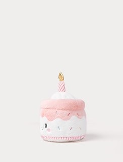 EB5ECC21_4437-teddy-party-cake-pink-2.jpg