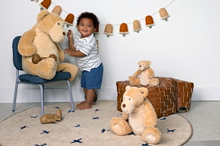E0E52381_134592_3_Bear-Bram.jpg