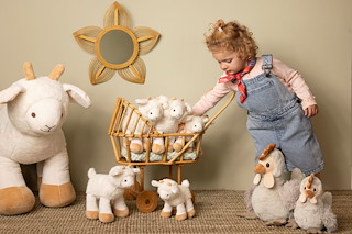 7397DDBF_134600_Sheep-Churro.jpg