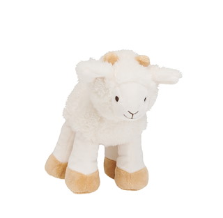 DF899DA8_134600-Churro-Sheep-no.-1.jpg