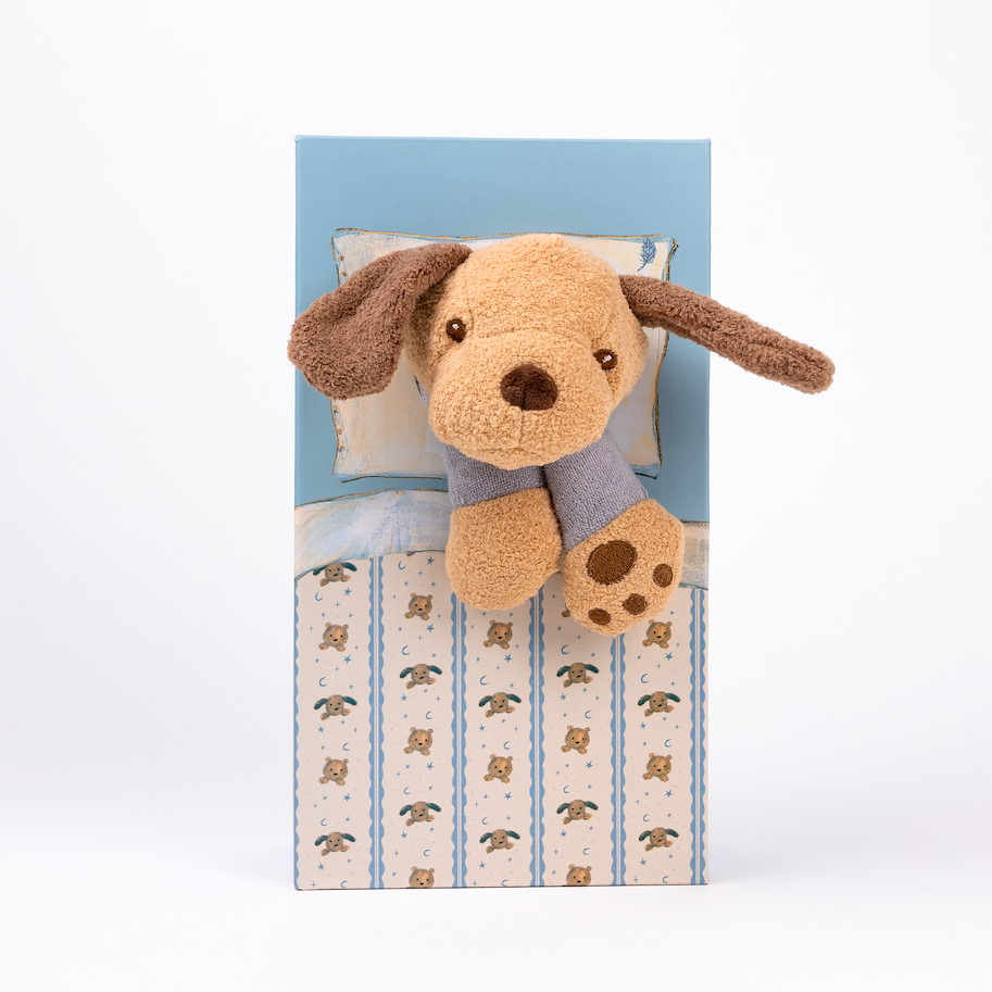 Gewichts-Hund im Pyjama