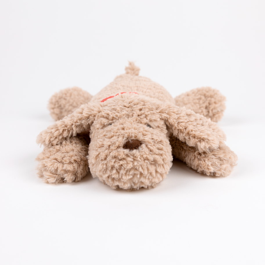 Liegender Hund Gabi medium