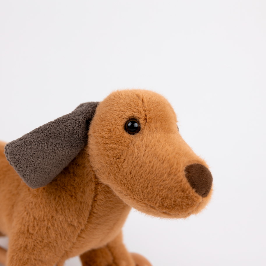 Hund Edward auf Rädern