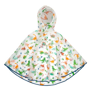 SJ131359_A_PONCHO.jpg