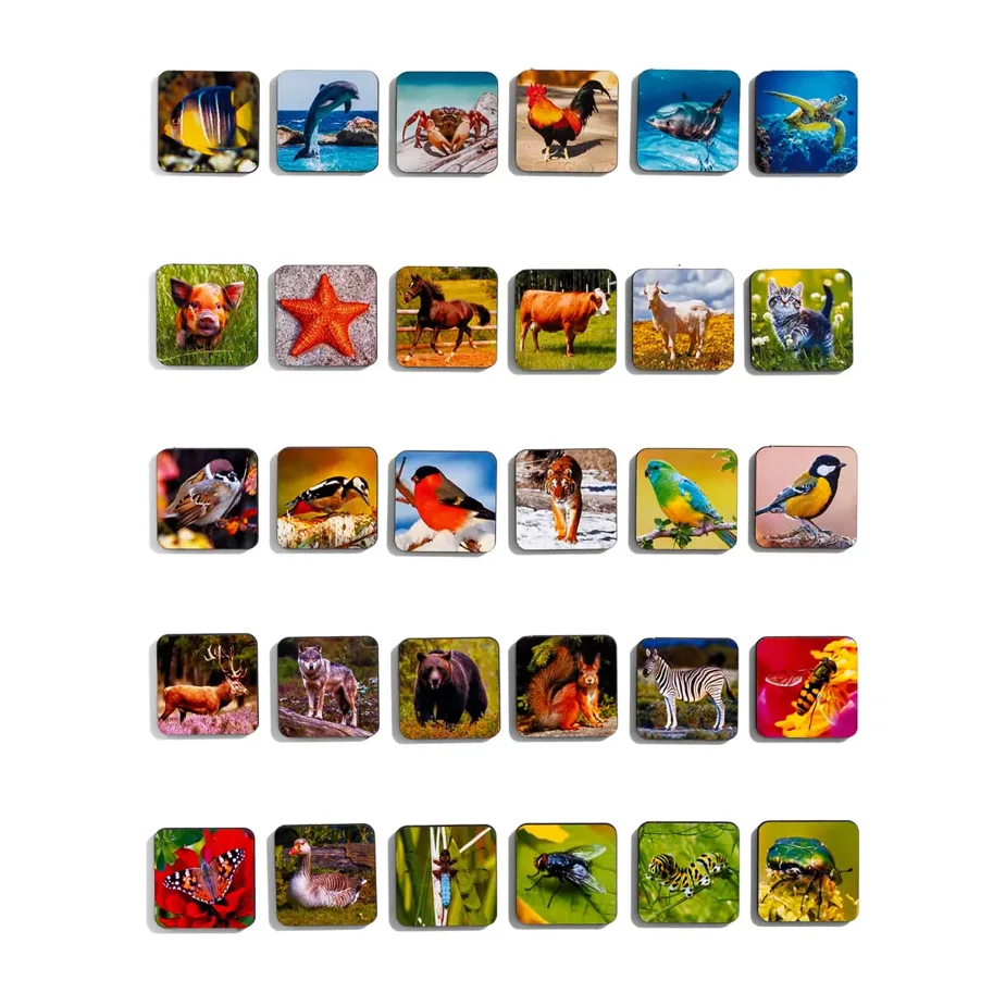 Sortierpuzzle 'Tiere'