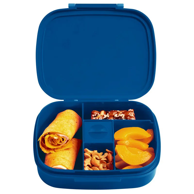 Lunch-Box mit Einsatz Dino